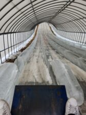 청양 알프스마을 칠갑산 눈썰매장, 얼음분수축제 정보
