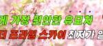 다이치 더 프라임 스카이 유모차 장점, 최저가 링크 알아보기