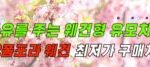 N2폼포라 웨건 후기, N2폼포라 웨건형 유모차 강점과 구매링크 알아보기