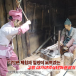 고령 아이와 함께 가볼만한곳 대가야역사테마관광지 주차자리 및 이용 팁