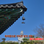 강진 남미륵사, 화려한 꽃이 가득한 강진 꽃놀이명소 여행