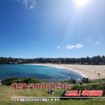 시드니 쿠지비치, 해안을 걸어다니며 만나는 시드니 자유여행