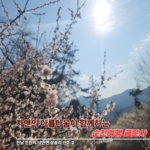 순천 금둔사, 아름다움과 평온함을 함께 만나는 순천여행