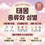 무태몽 괜찮을까? 태몽 없이 임신했을 때 의미와 늦게 꾸는 태몽 정보