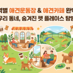 서울 강남구 🐶 애견운동장 & 애견카페 이용 팁 & 추천 가이드