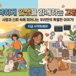 고양이 구토 원인 완벽 분석 집사 필수 상식