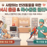 노원구 긴급! 🚨 야간 응급 동물병원 & 특수동물 클리닉, 24시 동물병원 어디로 가야 할까?